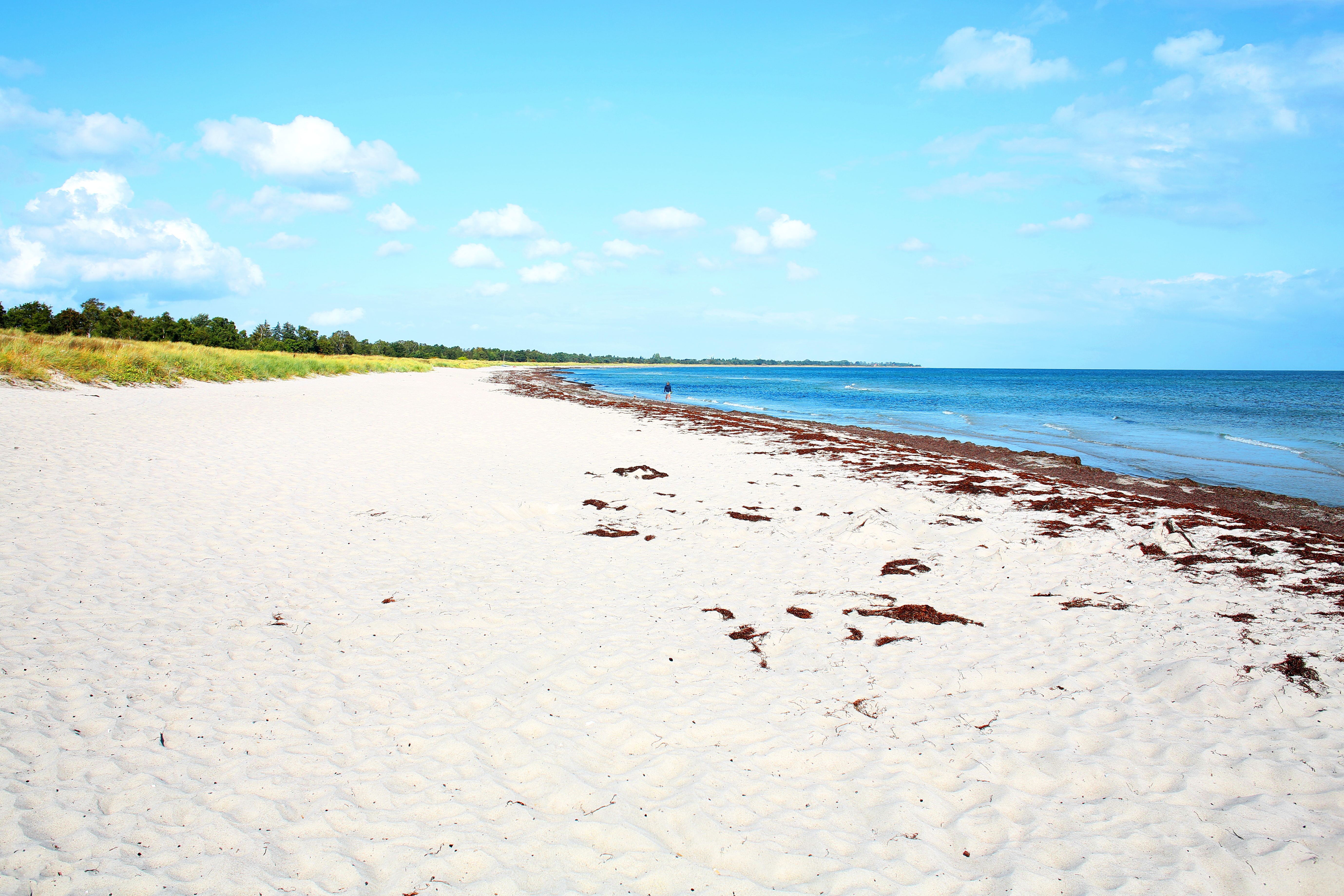 Schöne weite Sandstrände in Dänemark