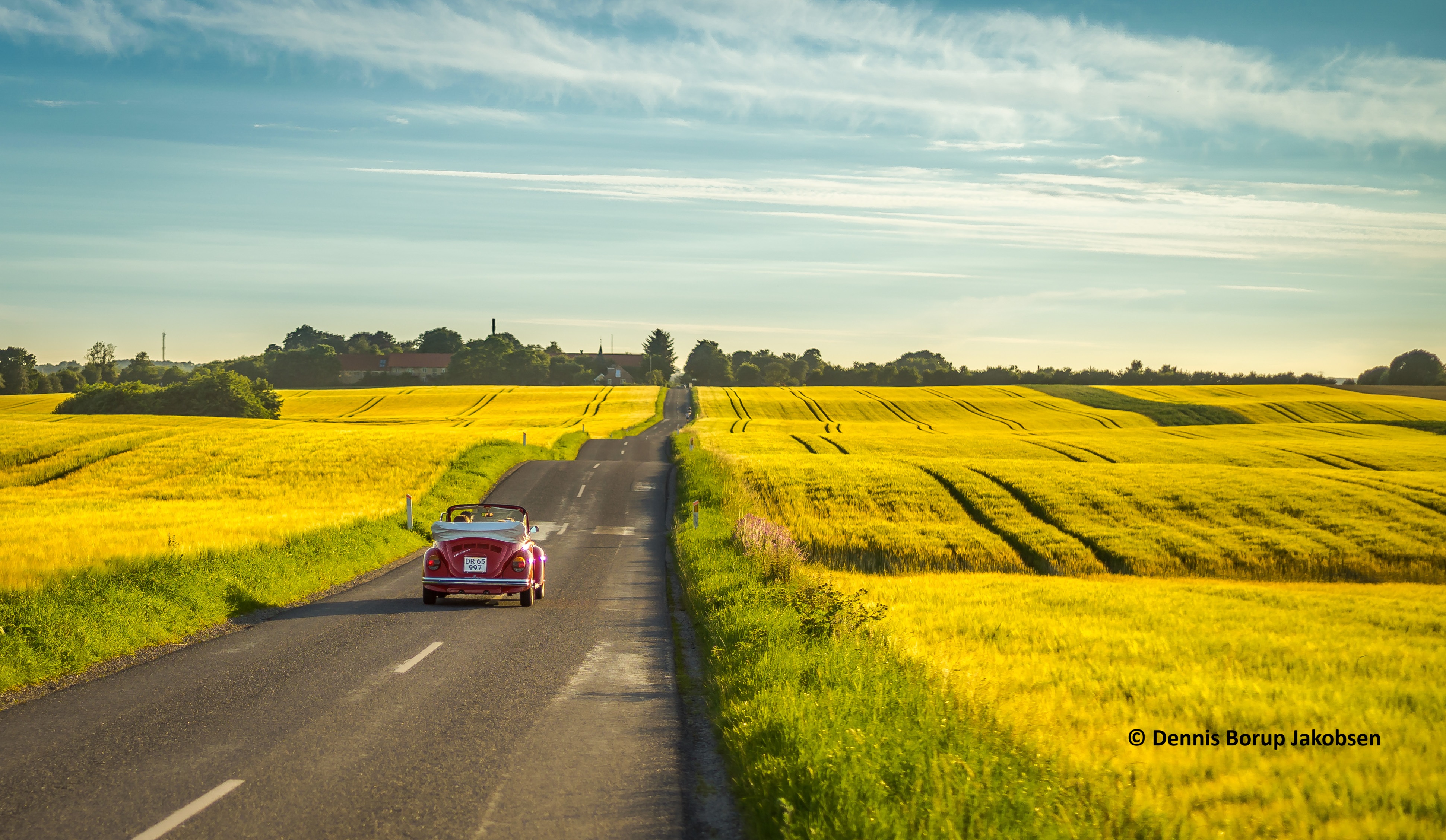 Auf de Margeritenroute zwischen gelben Feldern mit dem roten VW Käer unterwegs. 