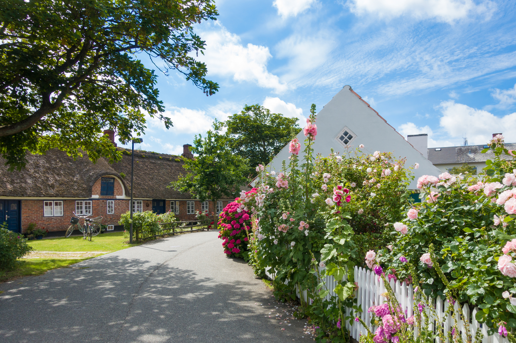 Blühende Blumen und schöne alte Häuser im Dorf Nordby auf der Insel Fano in Dänemark