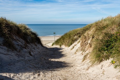 Strandweg zwischen Dünen und Meer in Sondervig