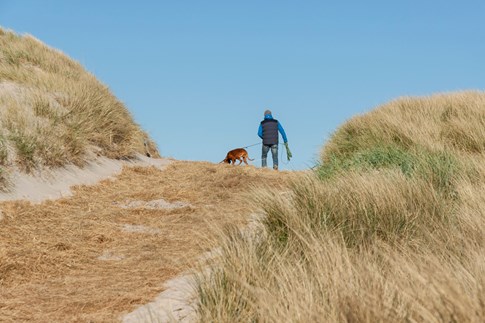 Hund und Herrchen in den Dünen Dänemarks