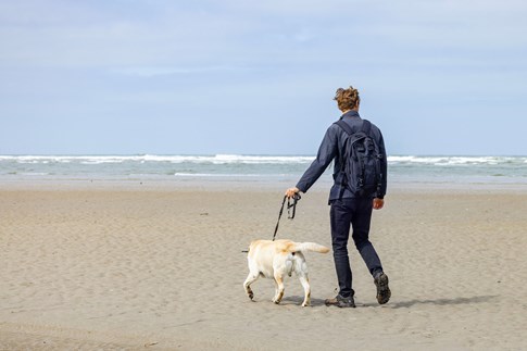 Blavand mit Hund am weiten Sandstrand
