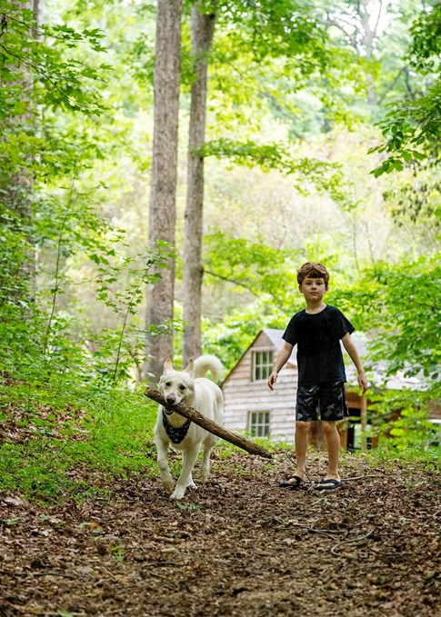 Hund und Kind im Wald 