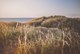 Hulsig Dünen am Strand