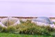 Veddinge in Nord Seeland