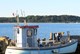 Kutter in Kulhuse hafen