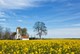 Mols in Djursland