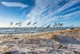Lyngsbäk Strand