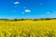 Selkär Landschaft
