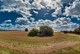 Broagerland in Südjügland Landschaft
