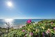 Sandersvig Strand in Nordjütland