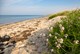 Lyby Strand