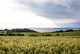 Karby am Limfjord