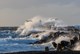 Thy or Cold Hawaii 