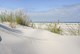Nordseeküste für Houstrup