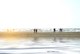 Nordsee Havneby
