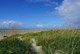Blick über die Dünengräser auf den Lakolk Strand auf Römö in Dänemark
