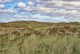 Dünenlandschaft in der Alvand Klitheide im Nationalpark Thy in Jütland, Dänemark