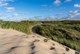 Scenic view of an open grassy field and sand dune at Thy National Park in Denmark