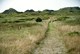 Hune Landschaft
