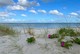 Strand in Napstjært