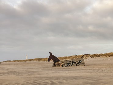 Ferienhaus Blåvand