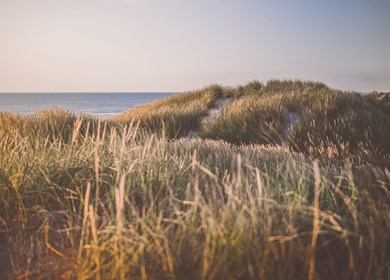 Hulsig Dünen am Strand