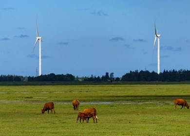 Slettestrand und Fjerritslev 