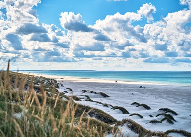 Saltum Strand Nordjütland