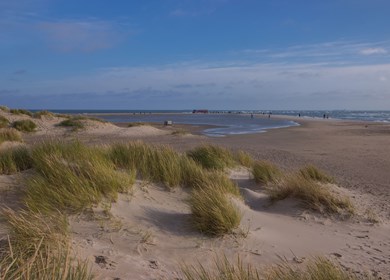 Lodskovvad Strand