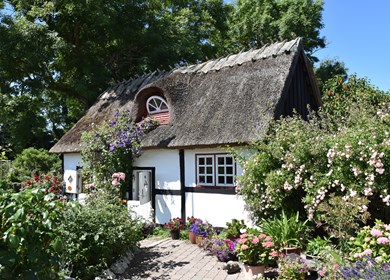 Insel Nyord neben Mön