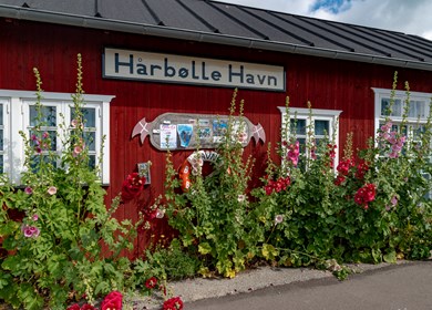 Harboelle Hafen auf Mön