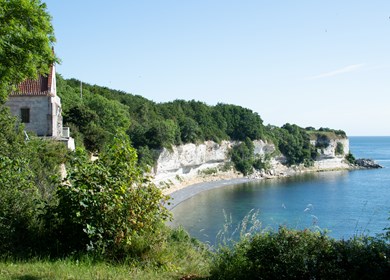 Borre ist dicht bei Möns Klint
