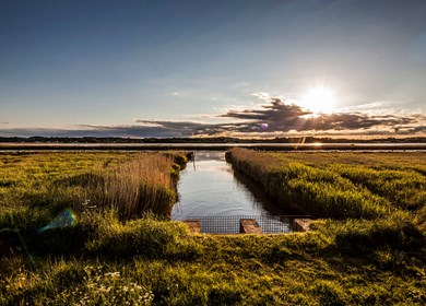 Randers Fjord Landschaft im Abendlicht