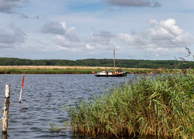 Jungshoved Natur 