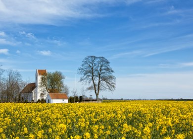 Mols in Djursland