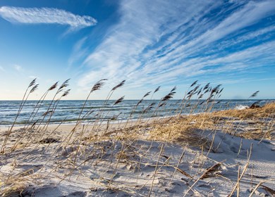 Lyngsbäk Strand