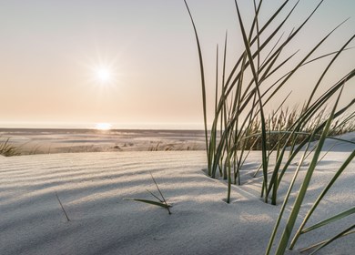 Vibäk Strand