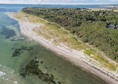 Ahl Strand
