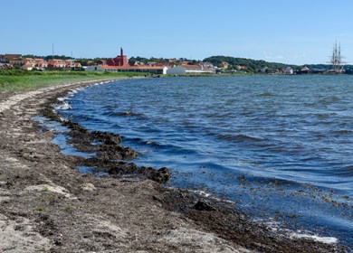 Elsegarde Strand