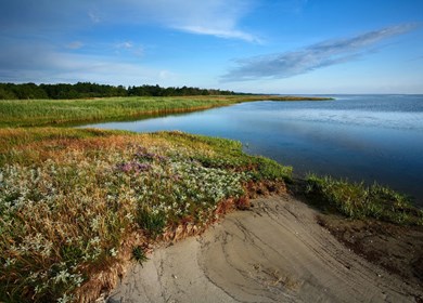 Natur in Djursland