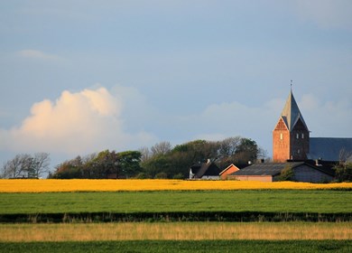 Ballum 