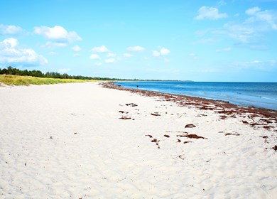 Schöne weite Sandstrände in Dänemark