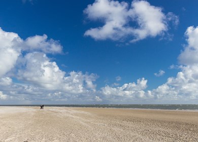 Strand und Dünen in Blavand