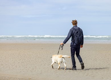 Blavand mit Hund am weiten Sandstrand