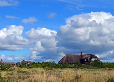 Ferienhaus an der Westküste Blavand