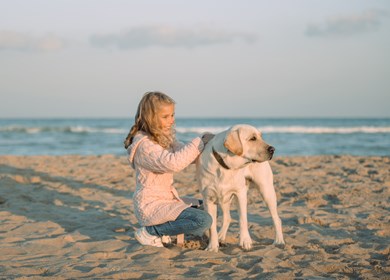 Spaß für Kinder in Blavand