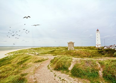 Blavand in Dänemark, perfekt zum Ferienhaus mieten