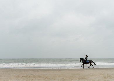 Freizeitaktivitäten, Reiten und Minigolf, Bowling in Blavand