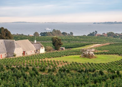 Dyreborg in Südfünen